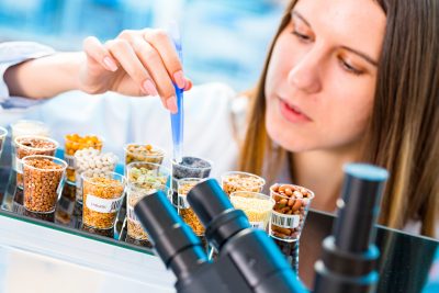 GMO research of cereals in laboratory