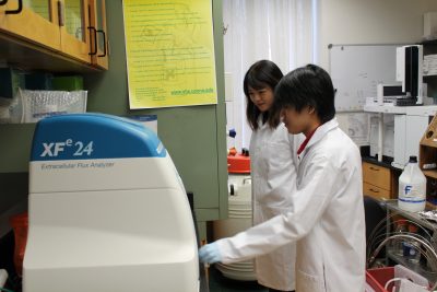 Students in a lab